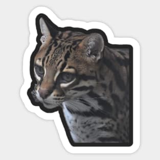 Ocelot Sticker